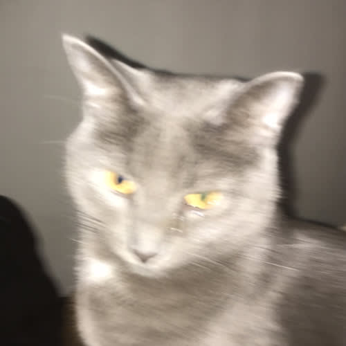 tamygirrrrrl