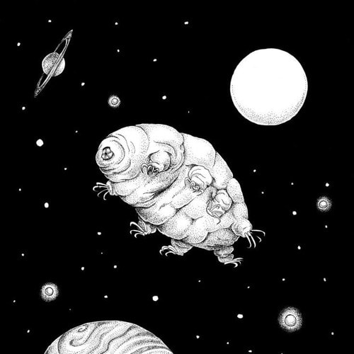 Tardigrade