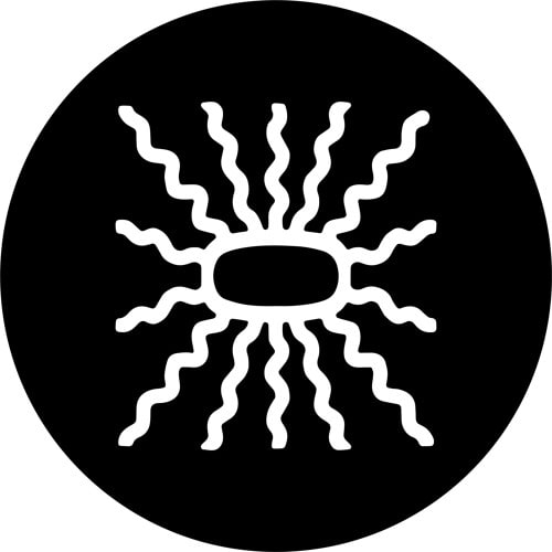 𝕥𝕖𝕟𝕥𝕒𝕔𝕦𝕝𝕒𝕣