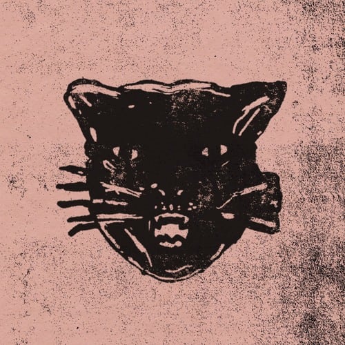 FEVER 333