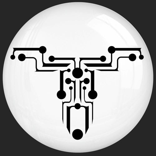 Transubtil Records