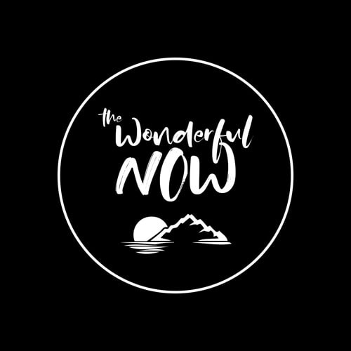 The Wonderful Now
