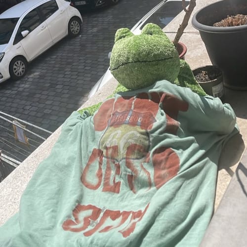 Dj Pikki