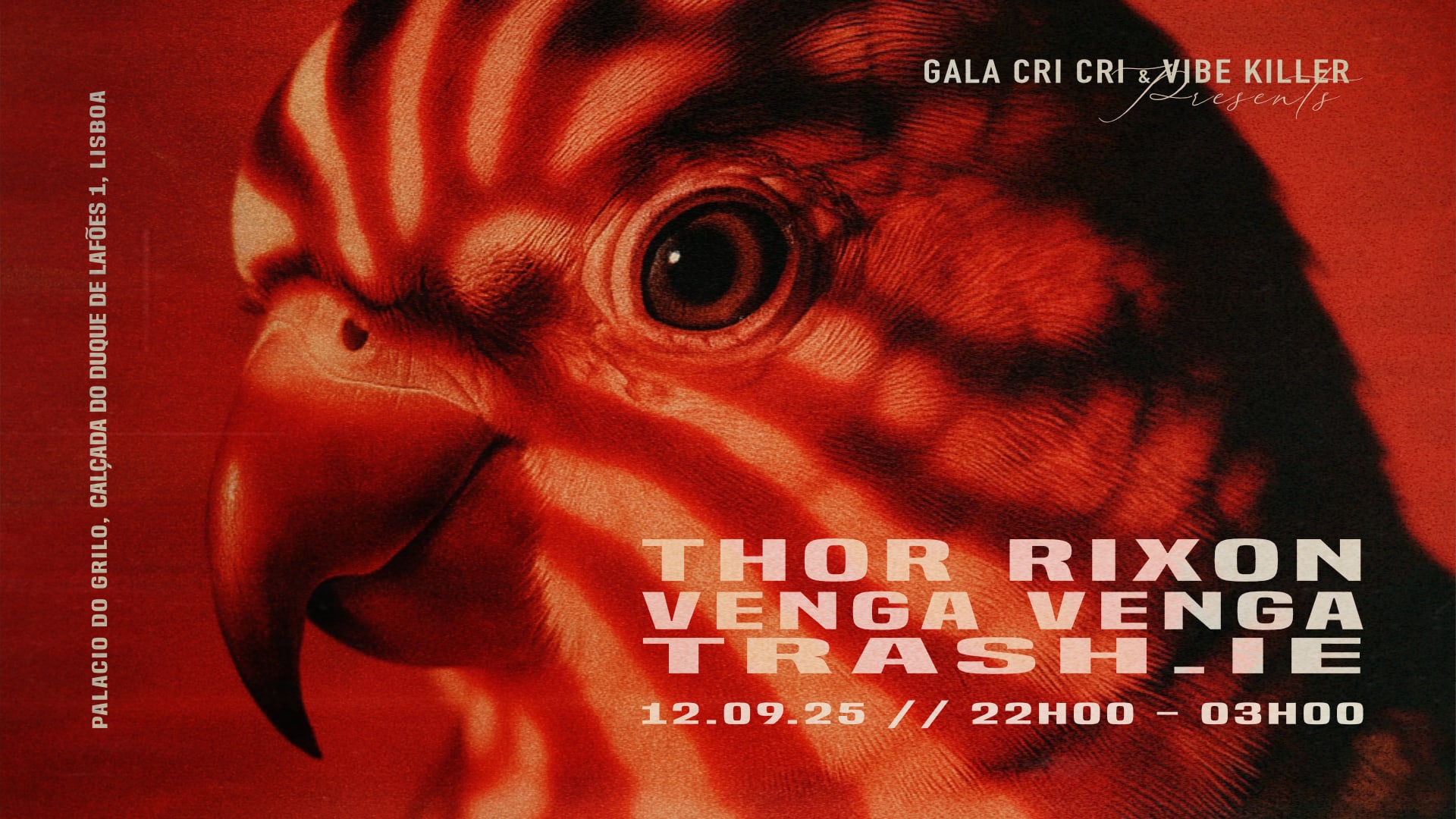 Gala Cricri & Vibe Killer: Thor Rixon, Venga Venga, Trash.Ie