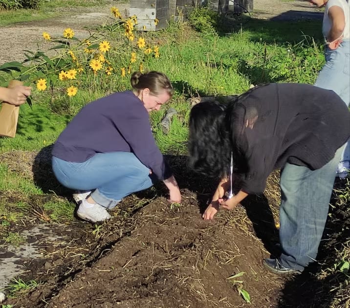 Bénévolat De Décembre - La Prairie Du Canal