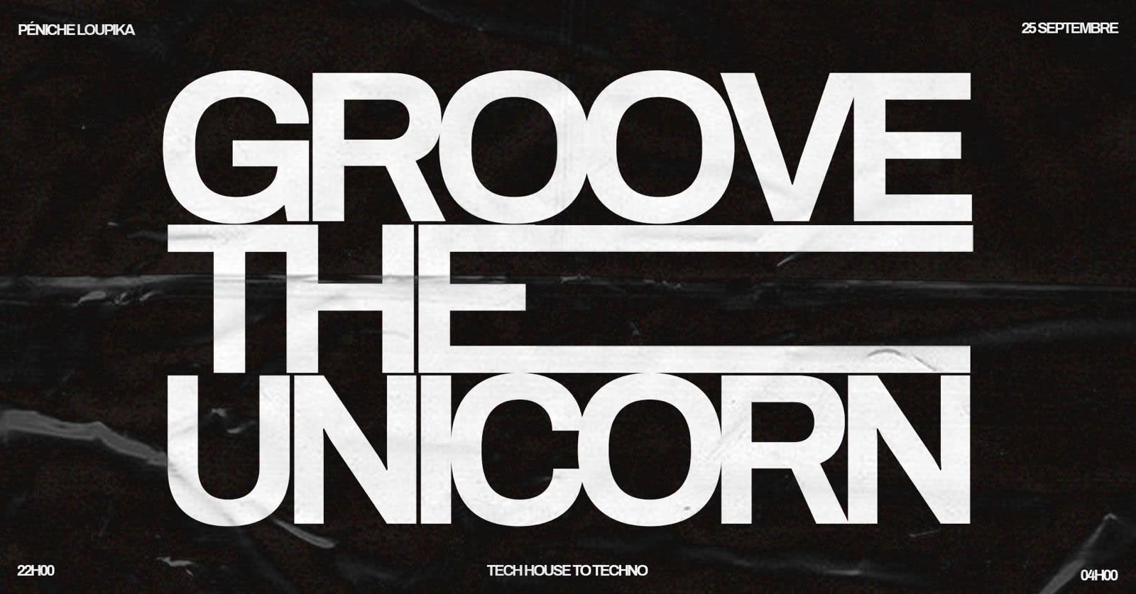 Groove The Unicorn - Lyon, Loupika