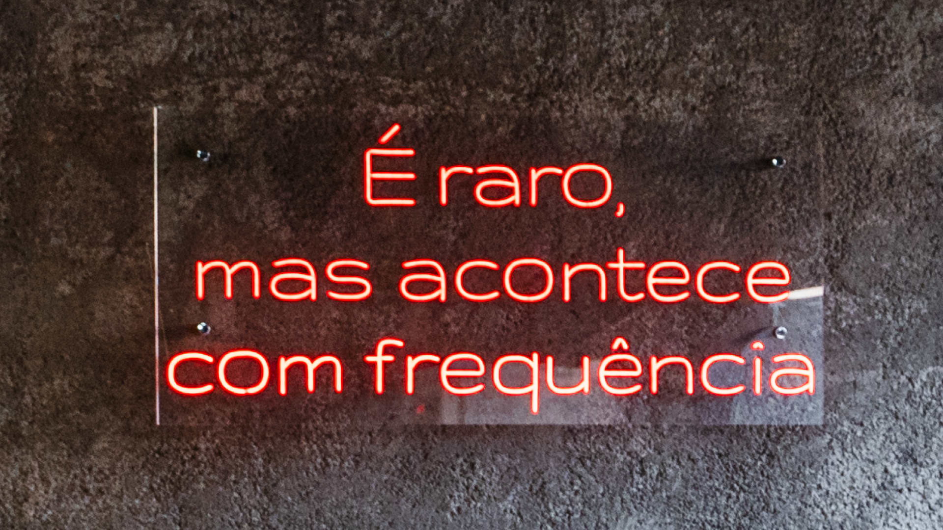 Confranexo - A Melhor Confraternização De Fim De Ano