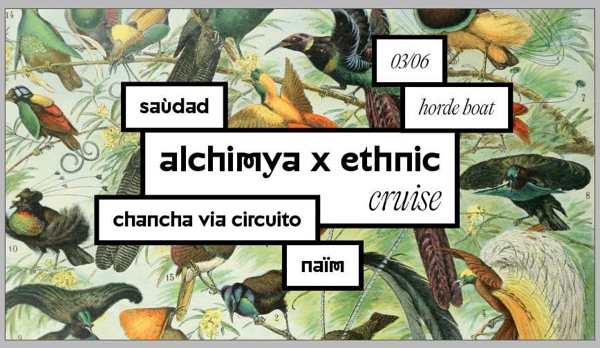 Alchimya X Ethnic Cruise