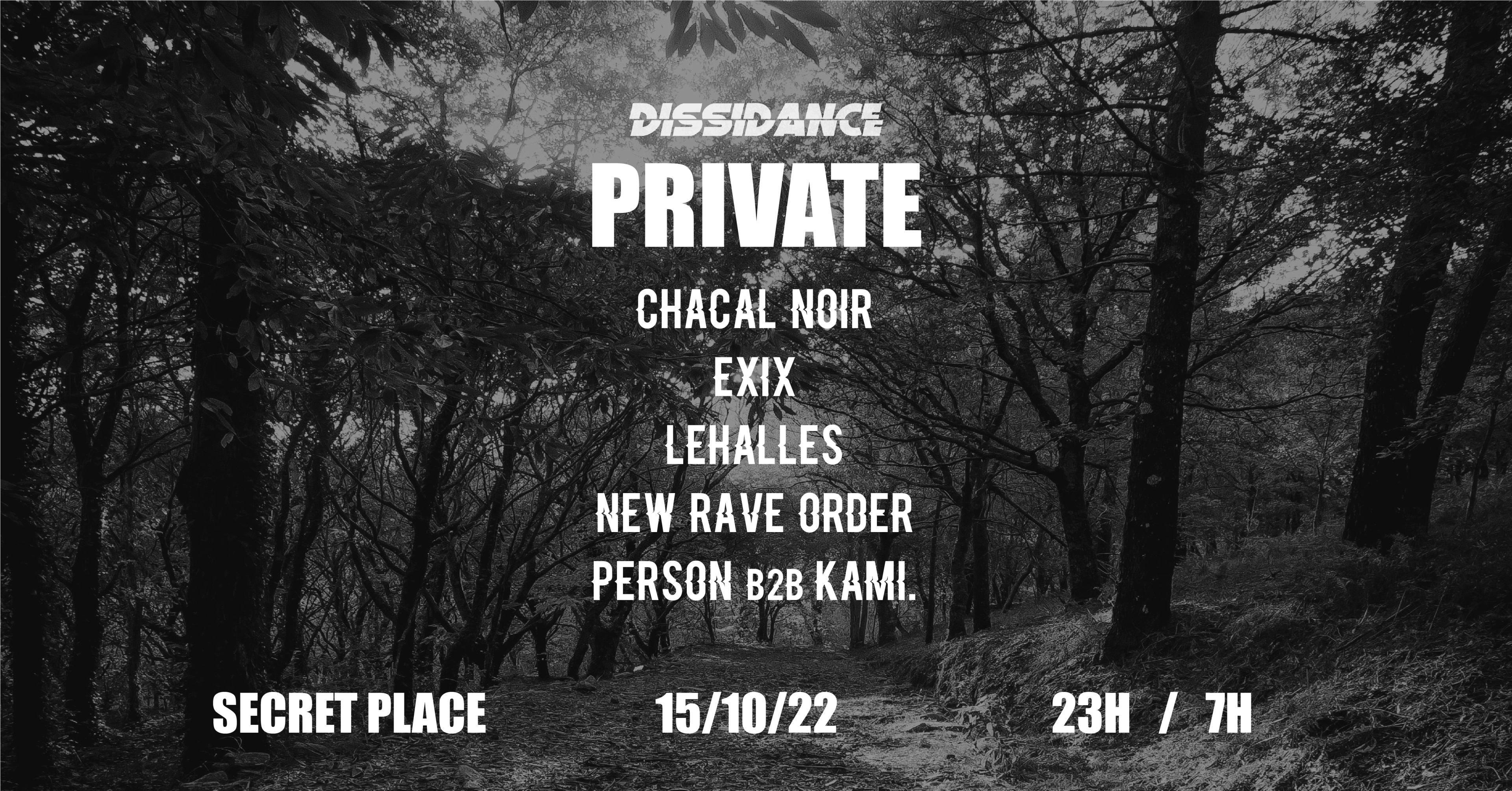 Dissidance \\ Private #3