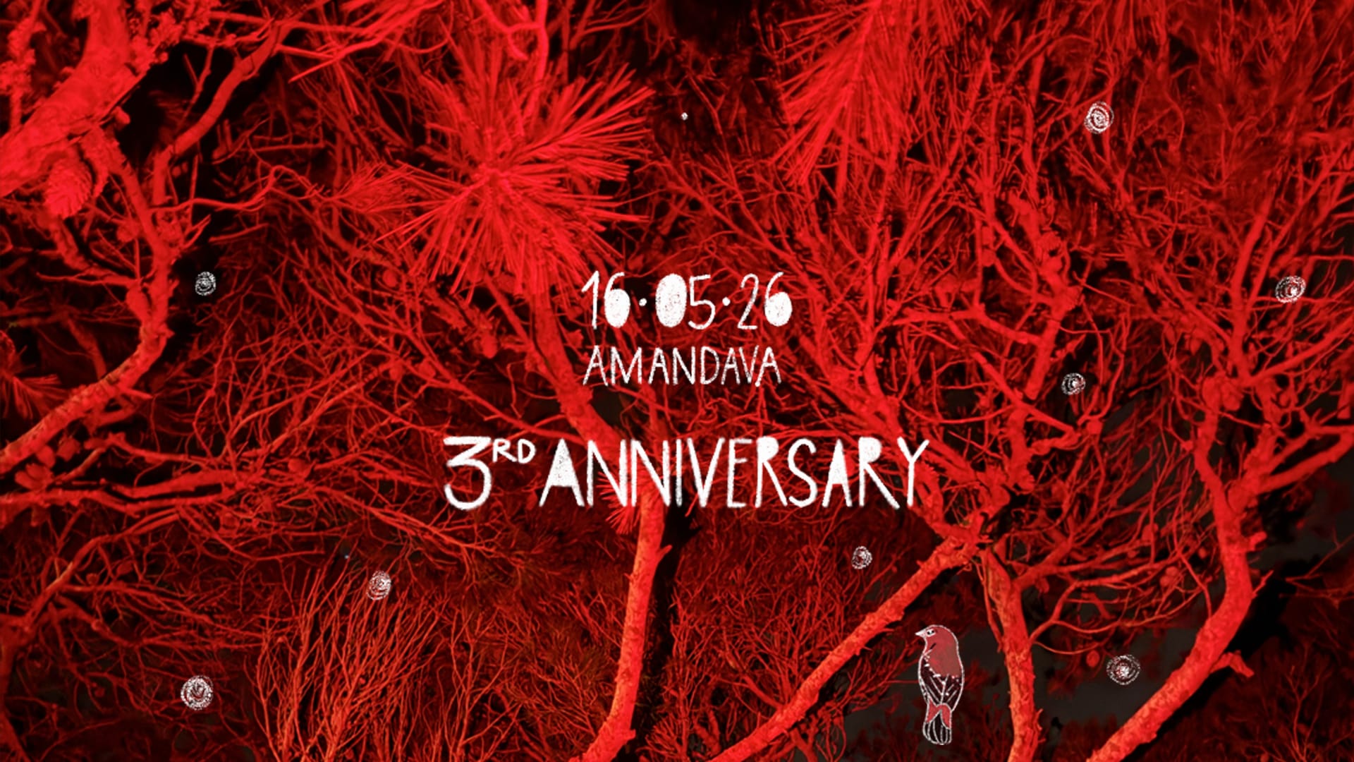 Amandava | 3rd Anniversary