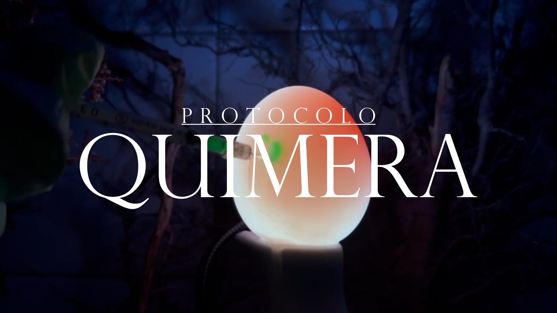 Protocolo Quimera Kiki Ball