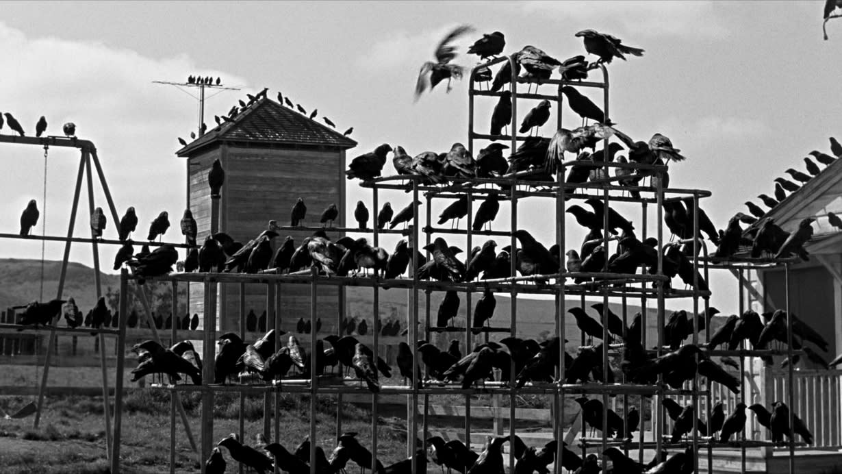 Book Club Radio Meeting #23 The Bird's Nest