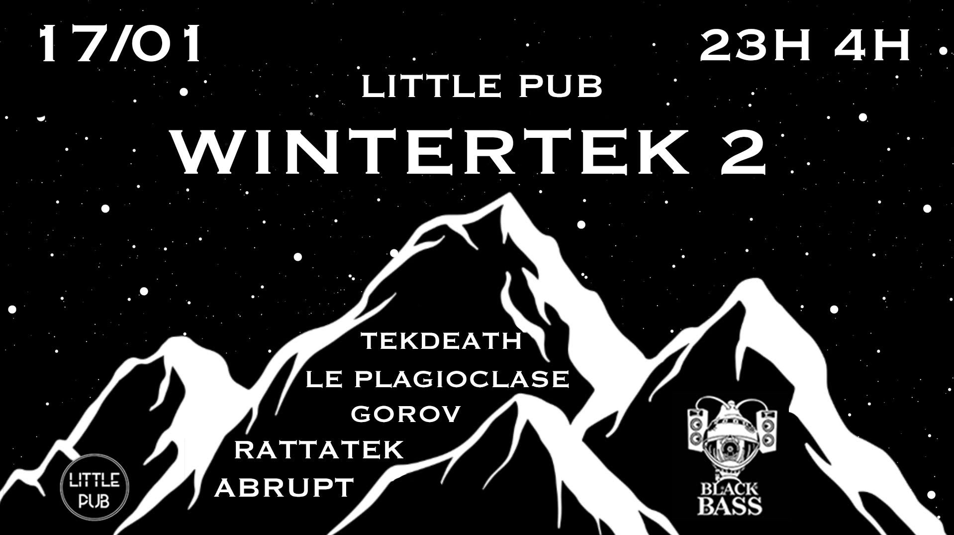 Wintertek 2