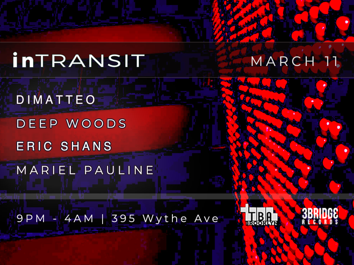 Intransit: Dimatteo, Deep Woods, Eric Shans, Mariel Pauline