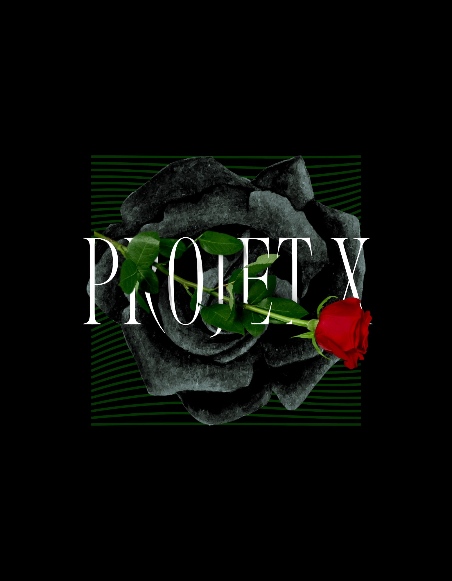 Merveilles Gonflées Projet X Party