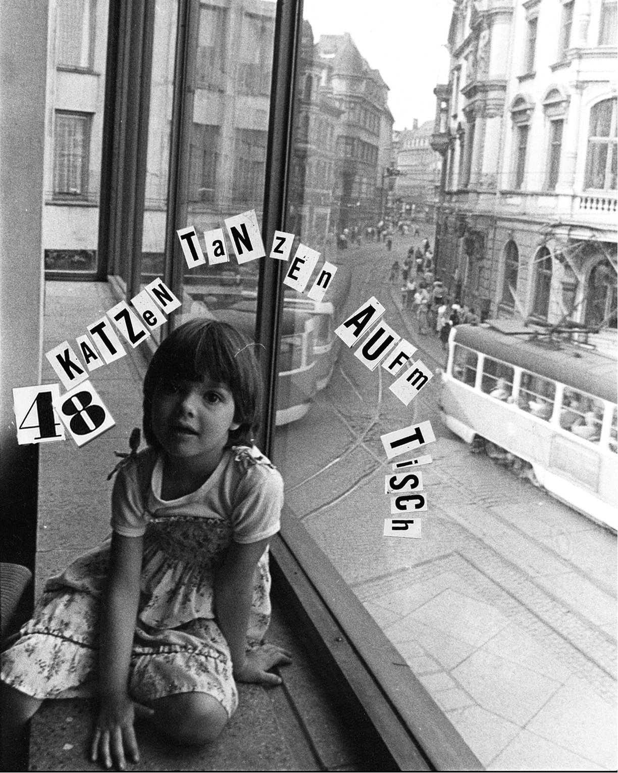 48 Katzen... Tanzen Auf'm Tisch