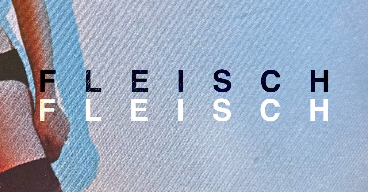 Fleisch Fleisch: Shonky, Katia Curie, Ivan Smagghe