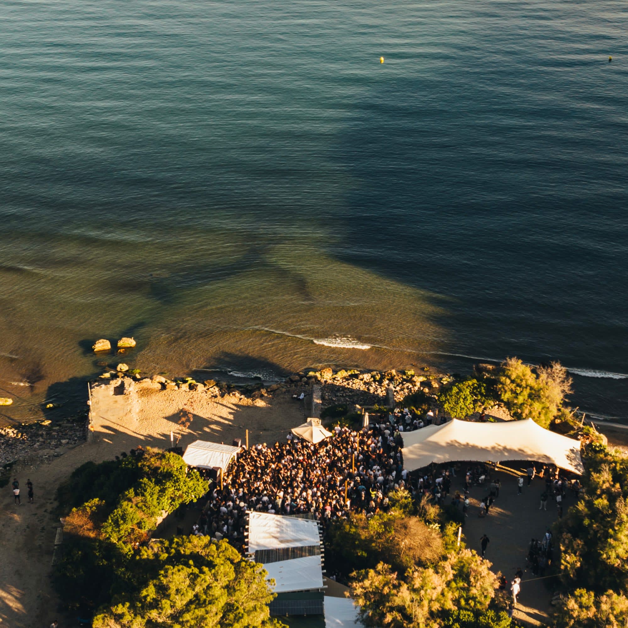 Swing X Polyamor (Opening Beach Season)