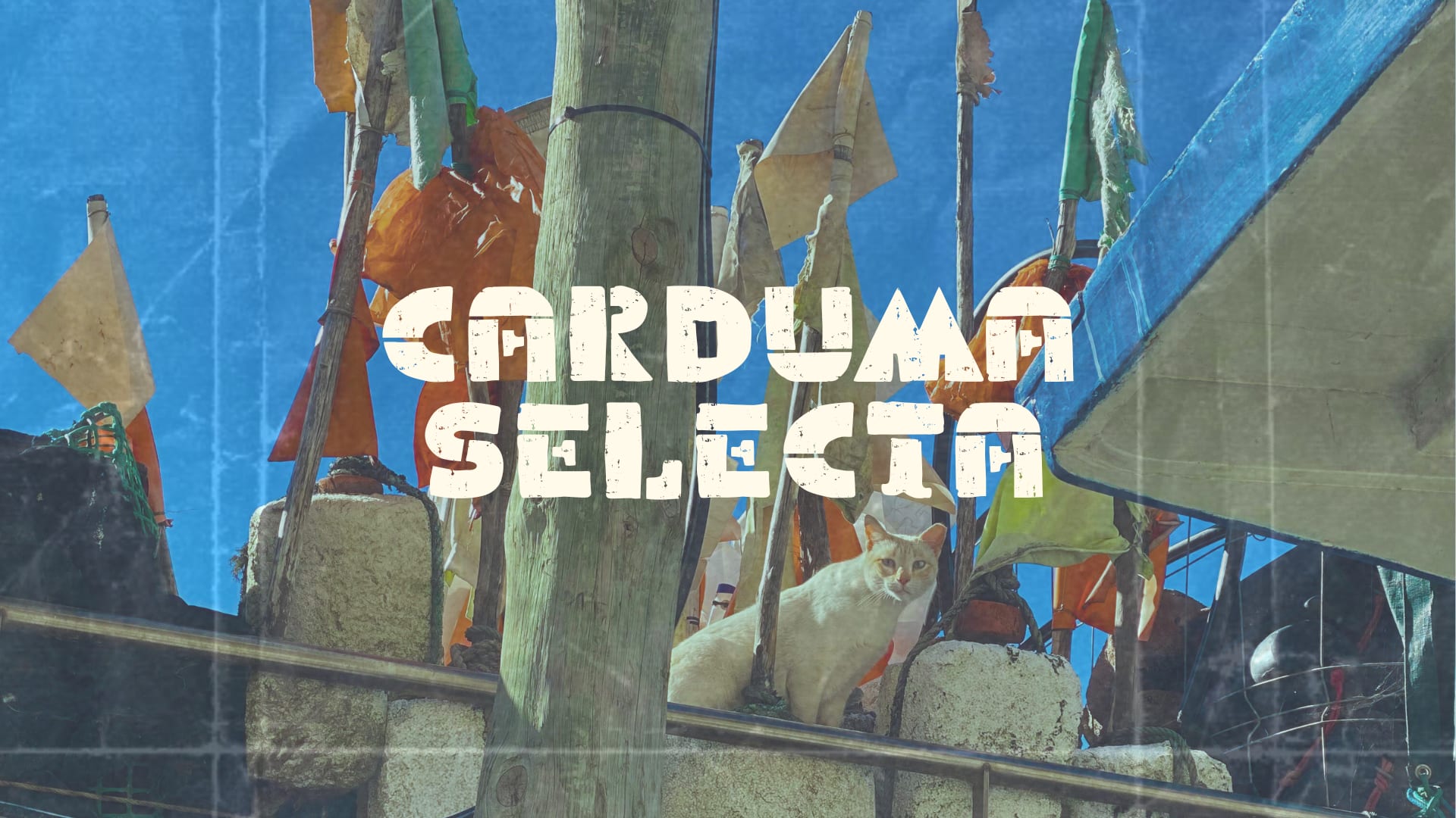 Carduma Selecta