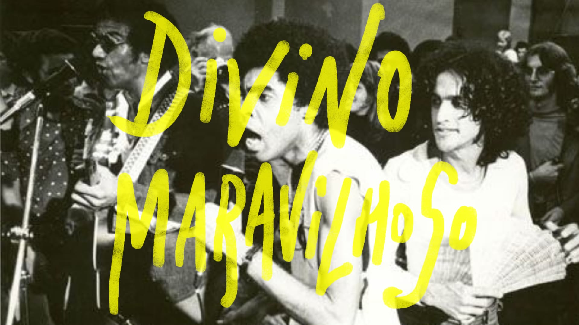 Divino Maravilhoso - É Proibido Proibir