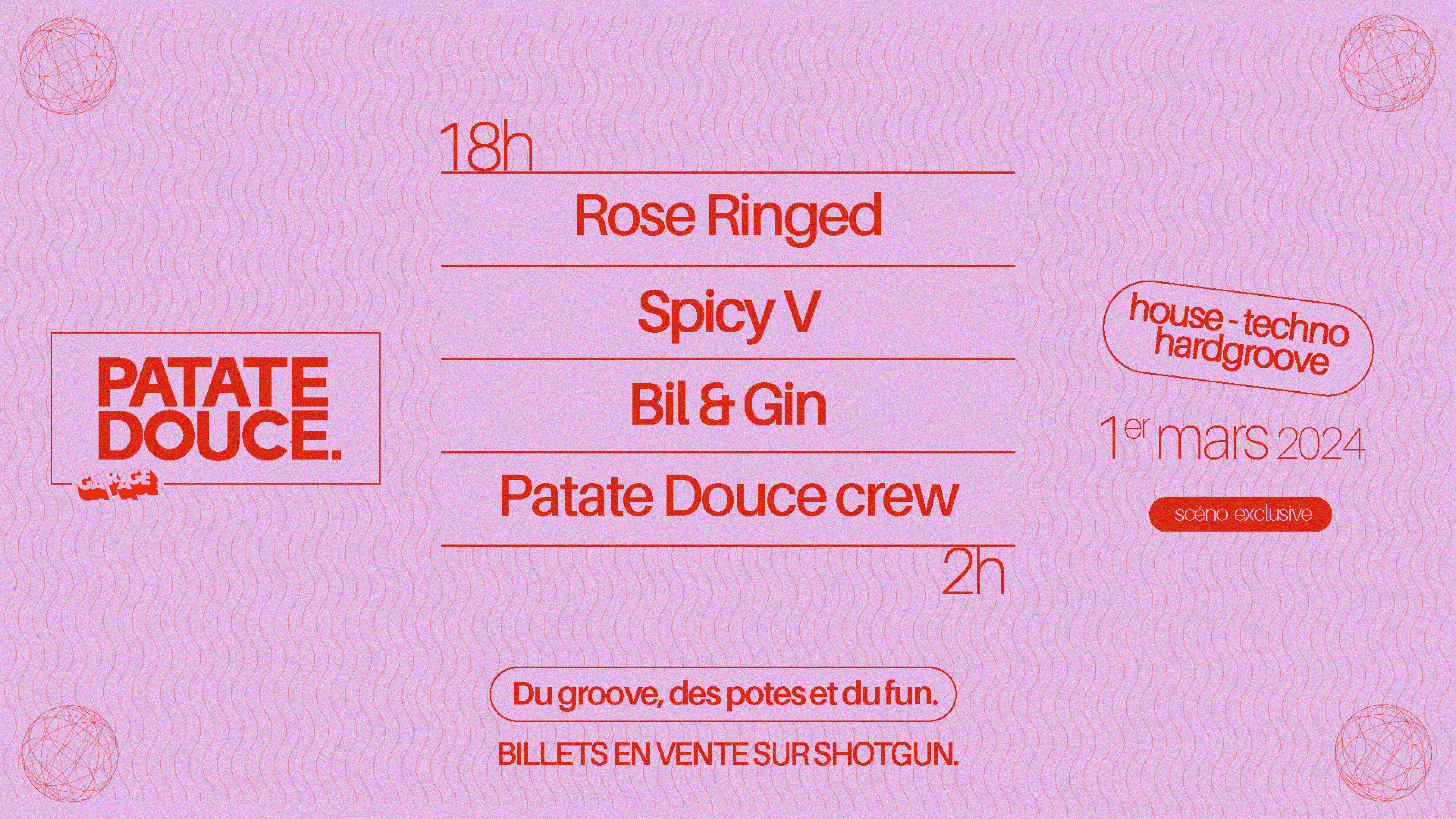 Patate Douce Présente Rose Ringed