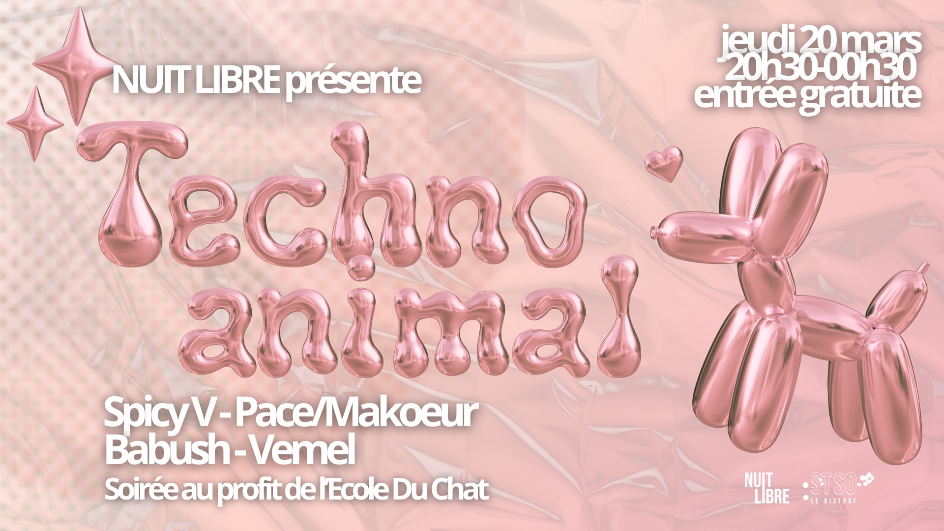 Techno Animal Au Profit De L'ecole Du Chat
