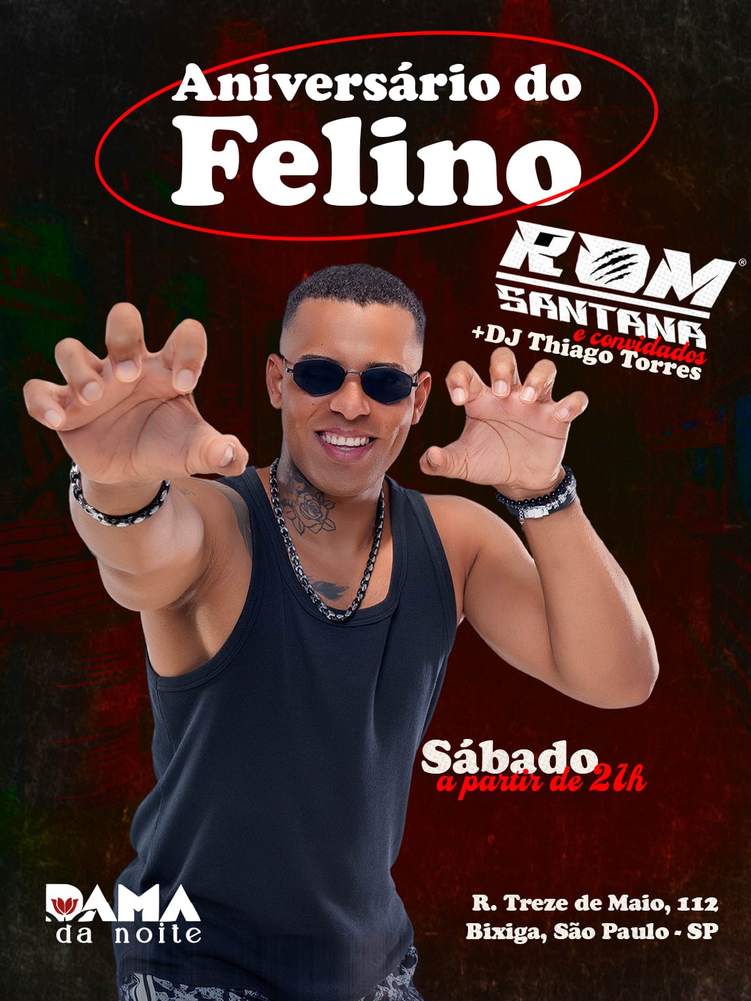 Aniversário Do Felino