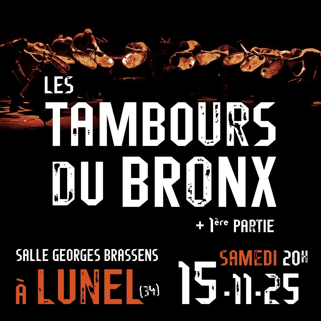 Les Tambours Du Bronx