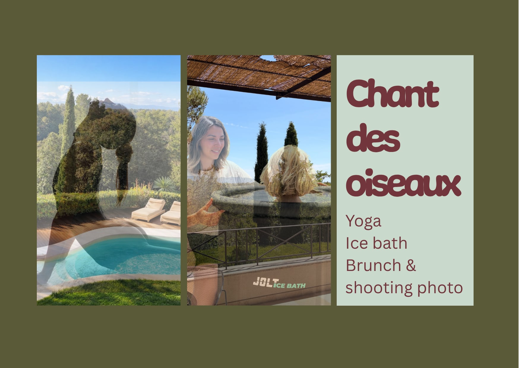 Le Chant Des Oiseaux