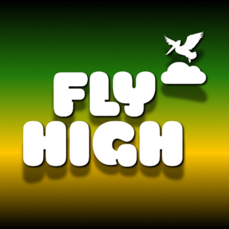 FLY HIGH 🪽