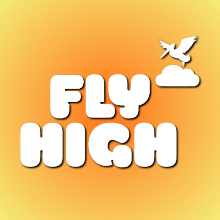 FLY HIGH 🪽