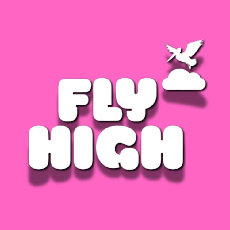 FLY HIGH 🪽