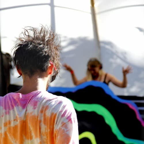 Elfie - Digital Shamans Records