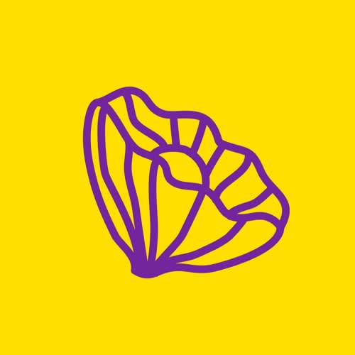 Amapola