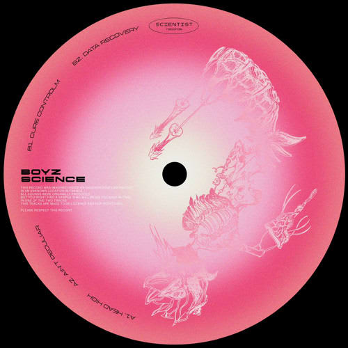 Boyz Science // Scientist Record