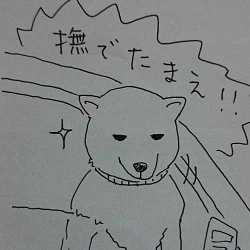 Tan Tan