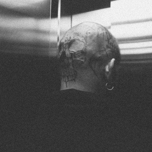YL