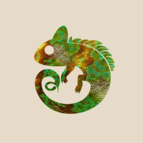 Camaleón Chameleon