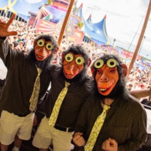 DIRTY LIL MONKEYZ