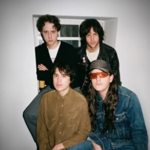 Beach Fossils