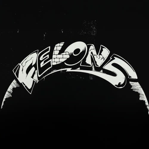 Felon5