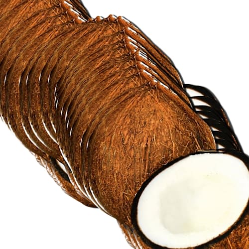 Sid Baxter - Lait de Coco