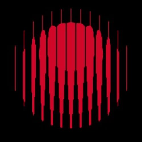 Year of No Light