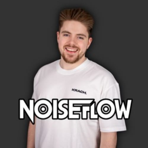 NoiseFlow