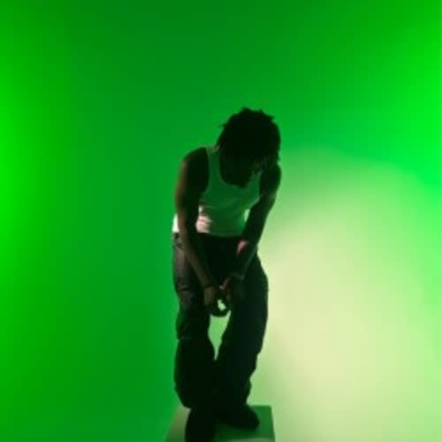 Twizzy cinco