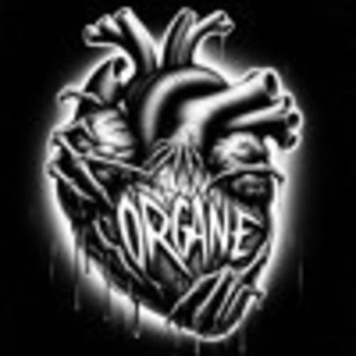 OrGäne aka Alchemist Brothers ( Rzk )