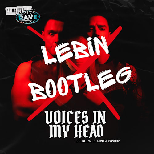 ACINA & BONKA - VOICES IN MY HEAD MASHUP (LEBIN BOOTLEG) (FREE DOWNLOAD)