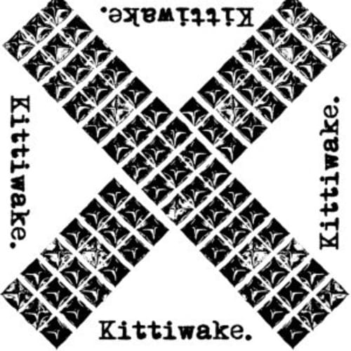Kittiwake.