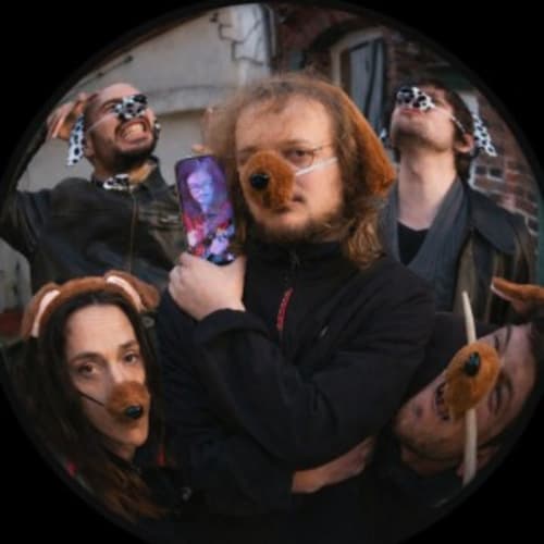 33 Dogs