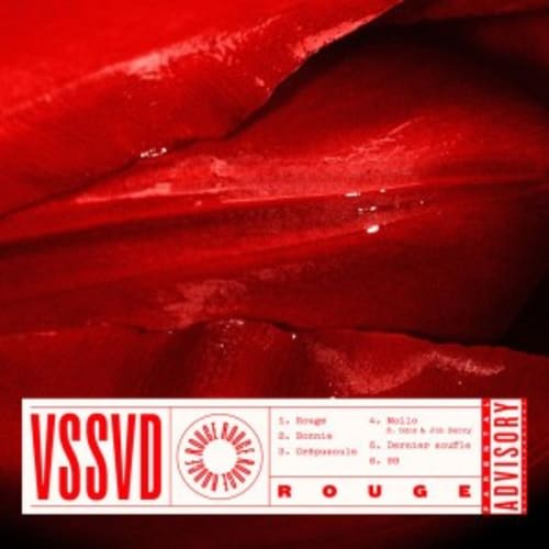 VSSVD